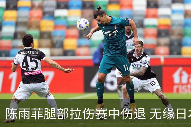 陈雨菲腿部拉伤赛中伤退 无缘日本公开赛女单决赛